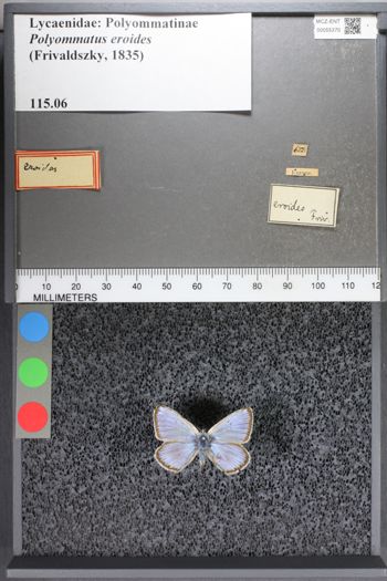 Media type: image;   Entomology 55370